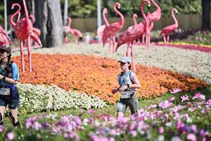 BIB: 
                            <button type="button" onclick="openModal(27793380)" class="btn btn-primary btn-sm float-right btn-popup" data-toggle="modal" data-target=".modal-high-quality">
                        <i class="fas fa-shopping-cart"></i> Add to Cart
                    </button>
                                            <button type="button" onclick="isThisMe(27793380, true)" class="btn btn-success btn-sm float-right btn-popup btn-isme hidden" data-toggle="tooltip" data-placement="bottom" title="นี่คือรูปของคุณใช่ไหม คลิกที่นี่เพื่อเอาเข้าอัลบั้ม">
                        <i class="fas fa-plus"></i> Add to album
                    </button>
                    <button type="button" onclick="isThisMe(27793380, false)" class="btn btn-warning btn-sm float-right btn-popup btn-isnotme hidden">
                        <i class="fas fa-ban"></i> Remove from album
                    </button>